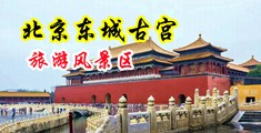 骚逼抠逼美女中国北京-东城古宫旅游风景区